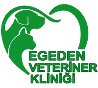 veteriner